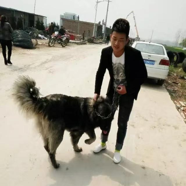 农村搬砖小伙🧱