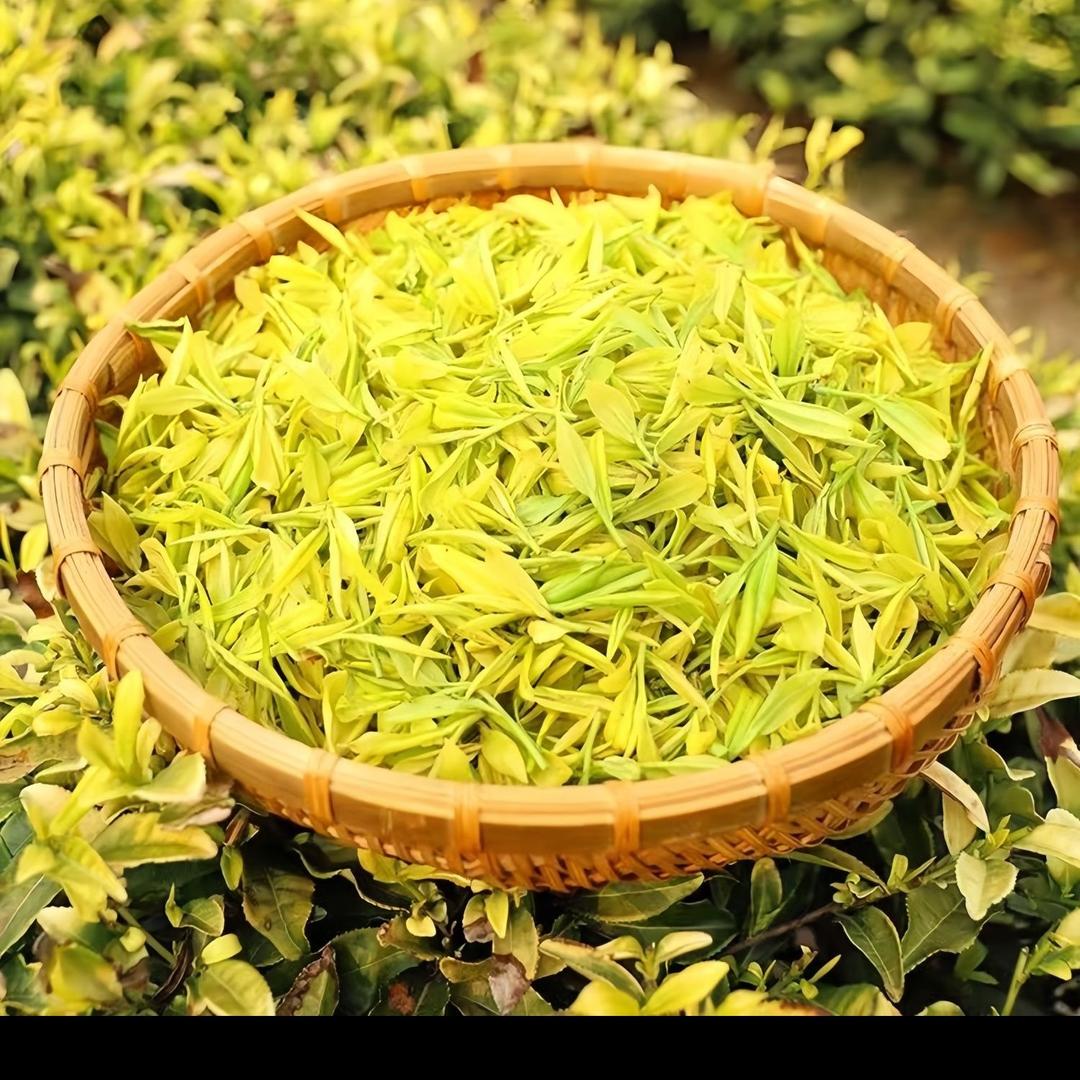 小璟茶叶批发个体店