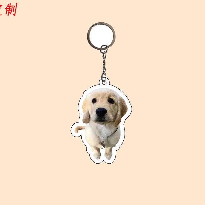 鸡蛋杀手