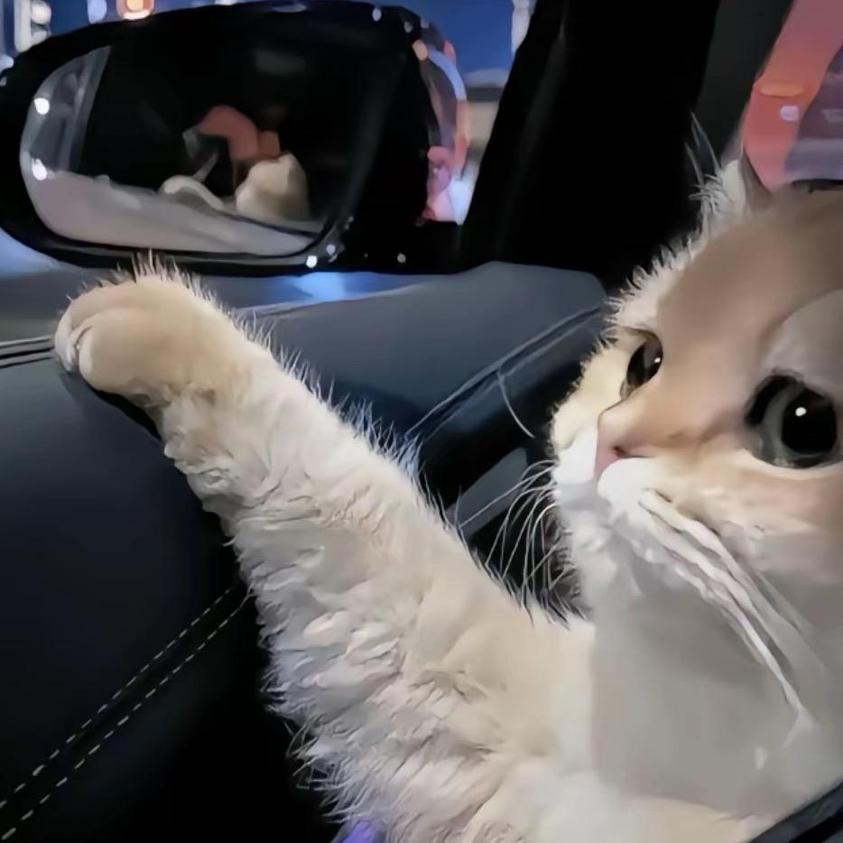 知我（三角洲行动）