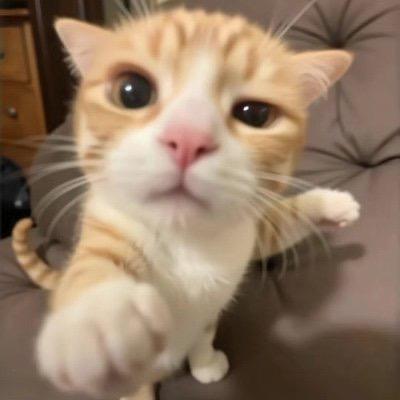 我是青蛙