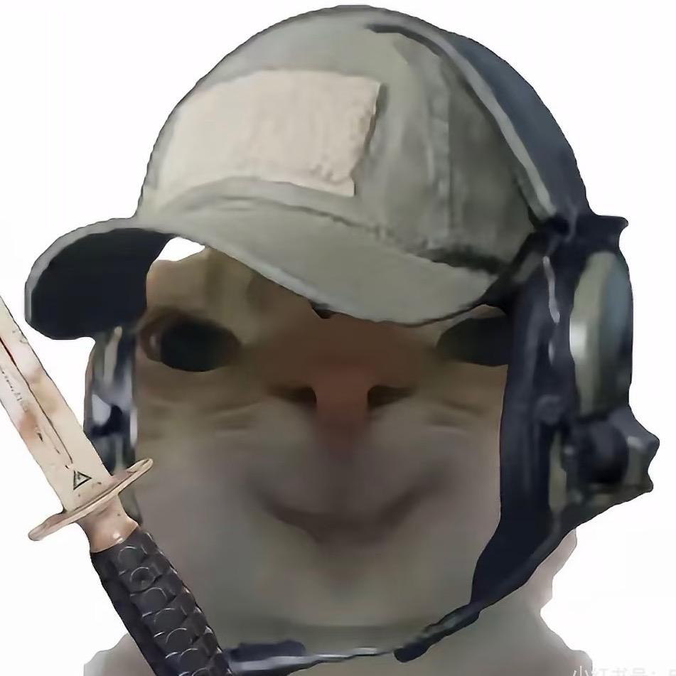 斌斌猪（三角洲行动）