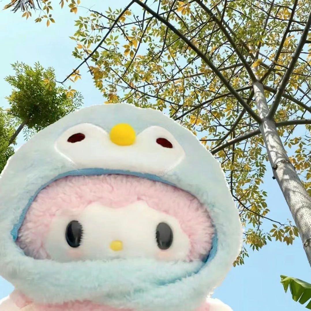 睿智的树莓派