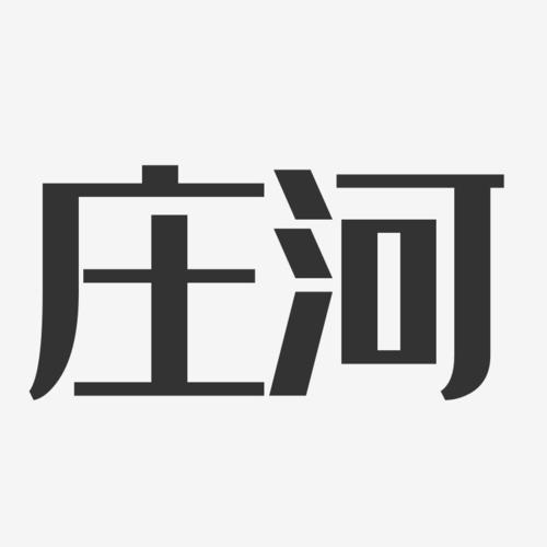 庄河信息服务中心（大连）