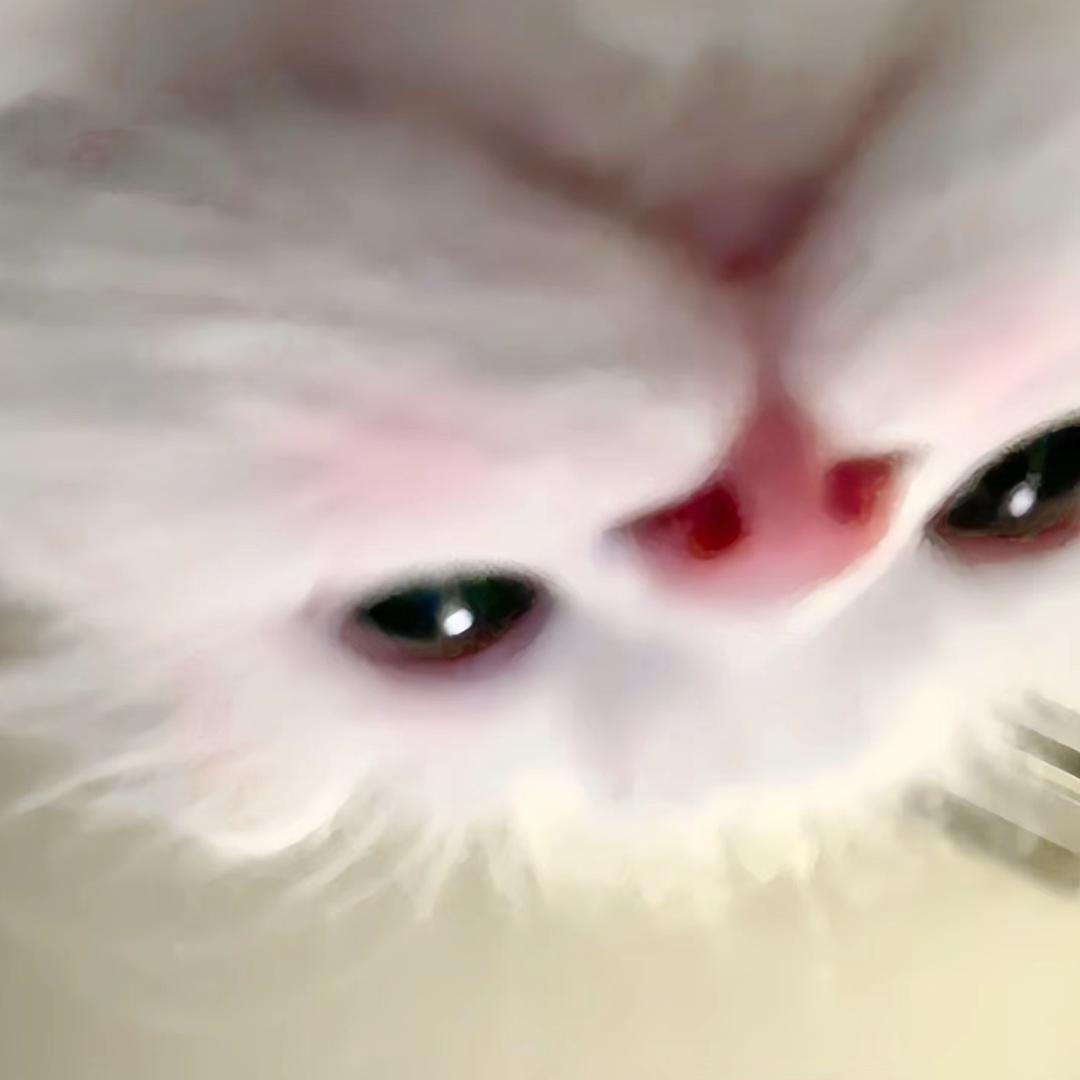dongyunq-