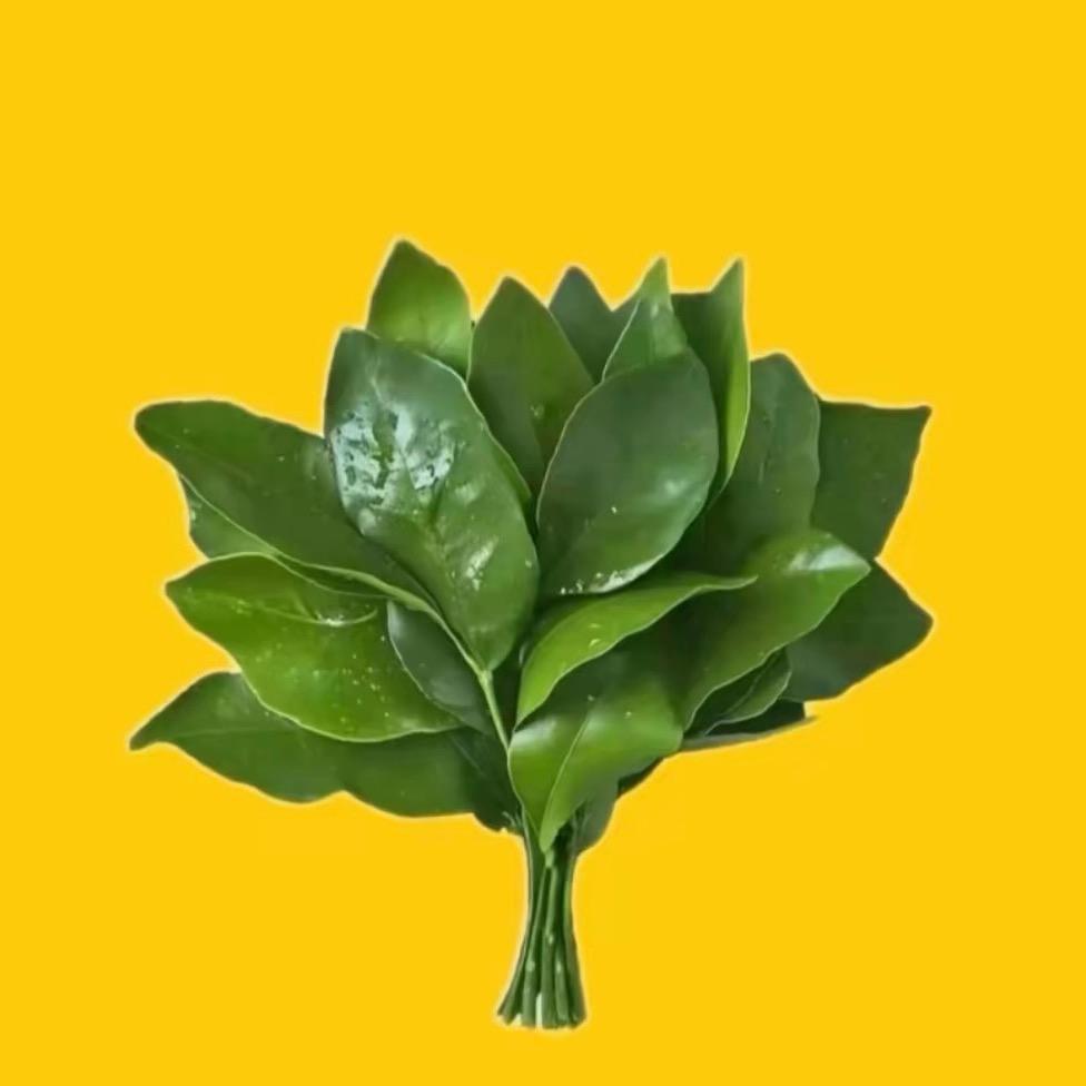-尉你