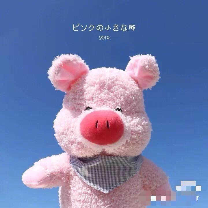 小女孩👧