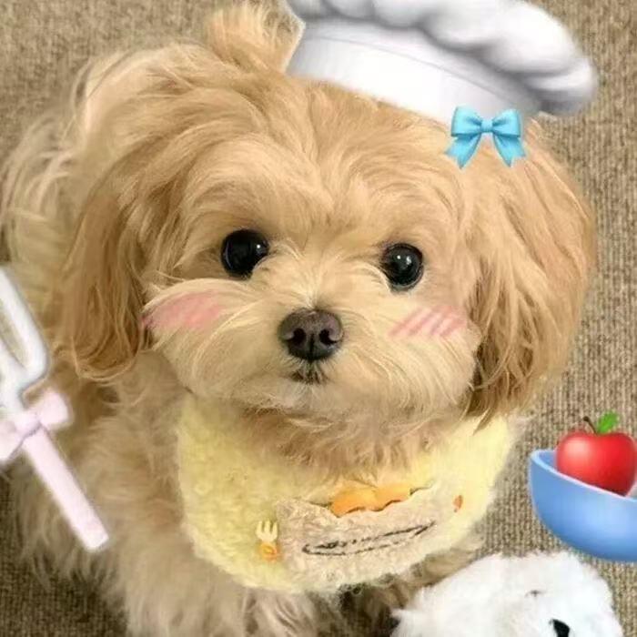 Yi💫