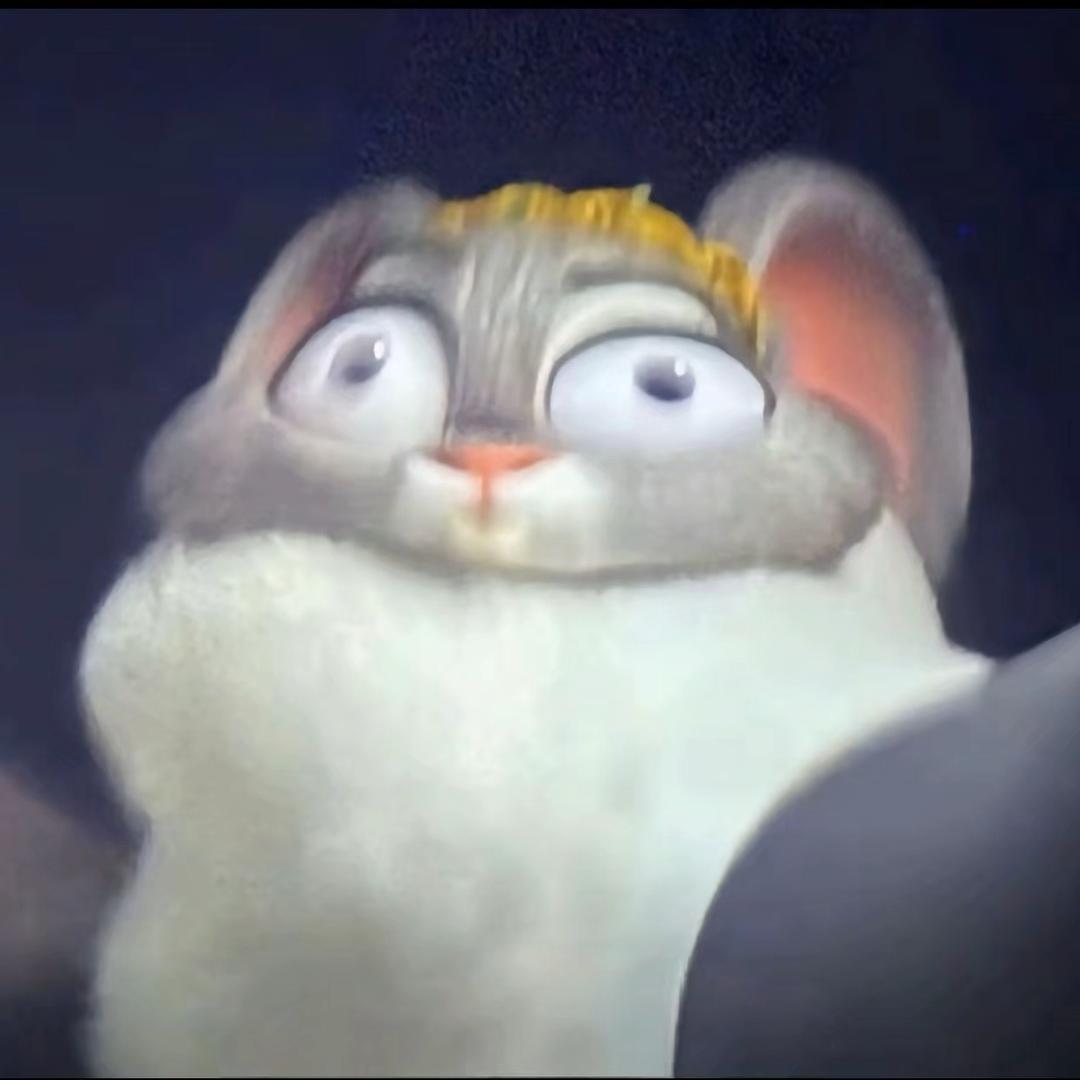 有钱养了只坚果🐰