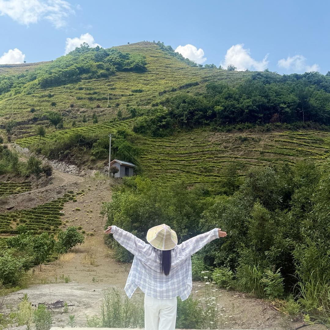 绥阳-徐大川剁椒猪脚饭