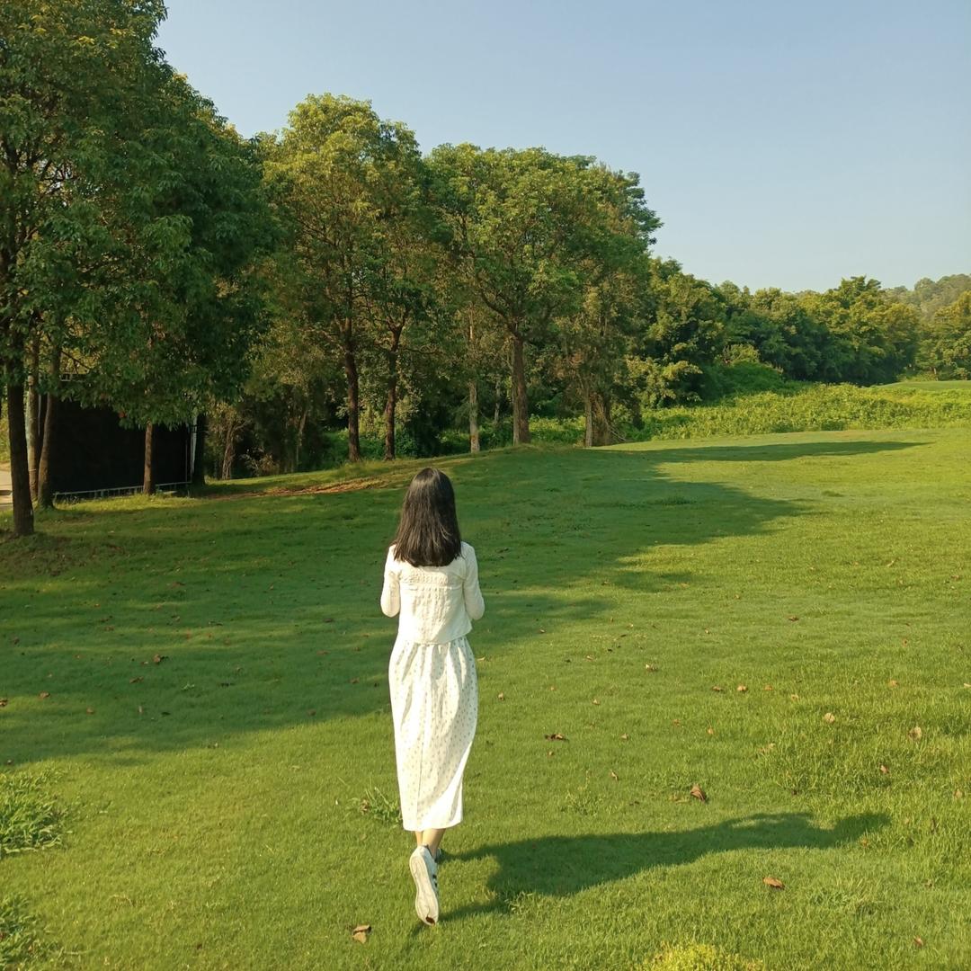 禾丰源头姜薯产地直批