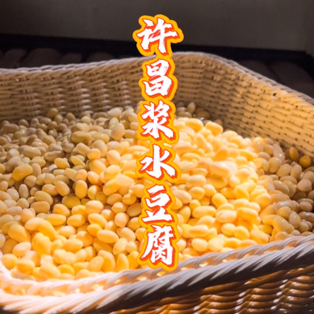 豆本家许昌浆水豆腐