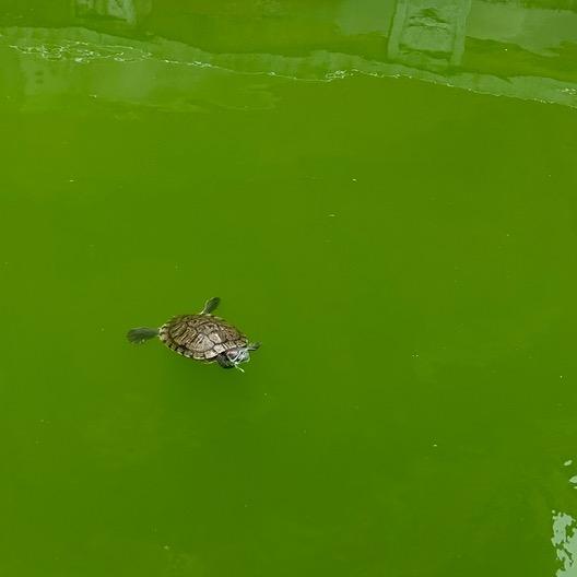 紫外线强度超标