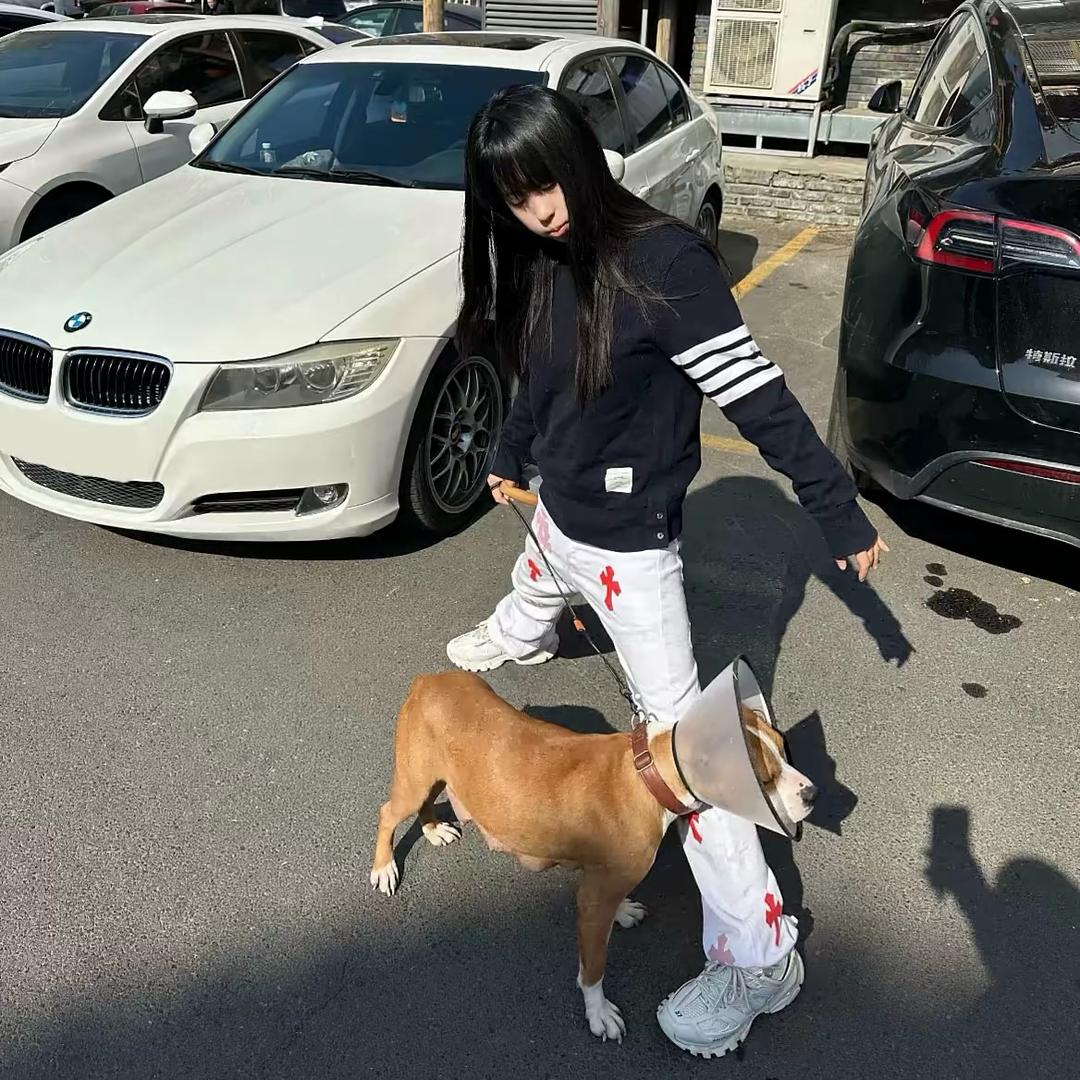 ㅤㅤ ㅤㅤㅤㅤ娘娘