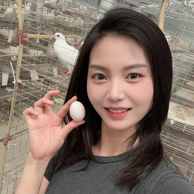 养鸽的小孟