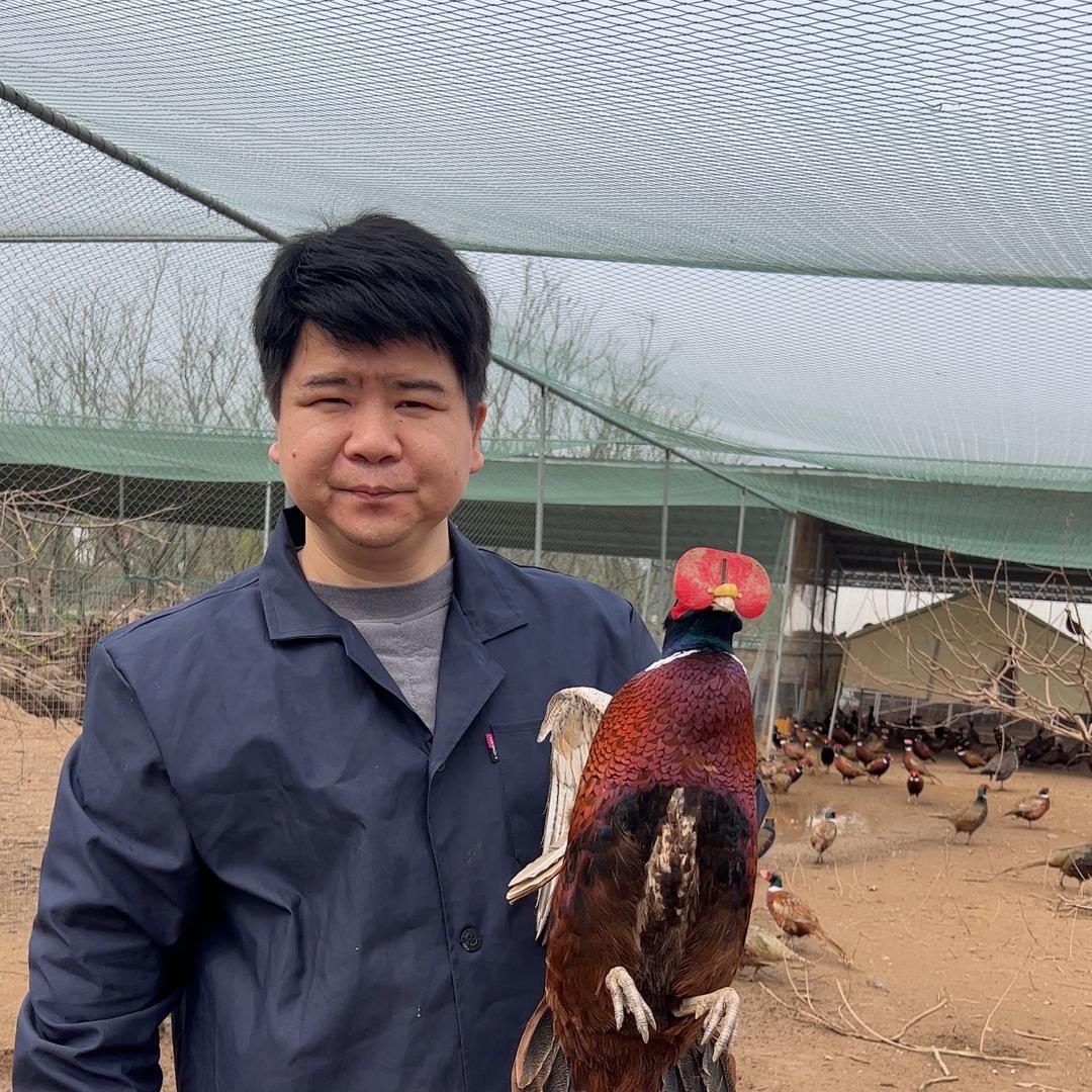 小张家的鲜货
