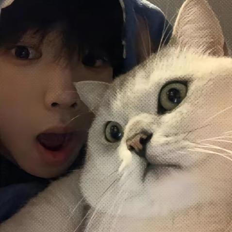 河理最不合理的男人