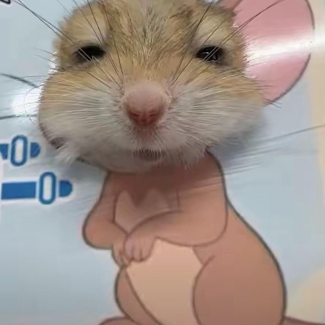 不是她