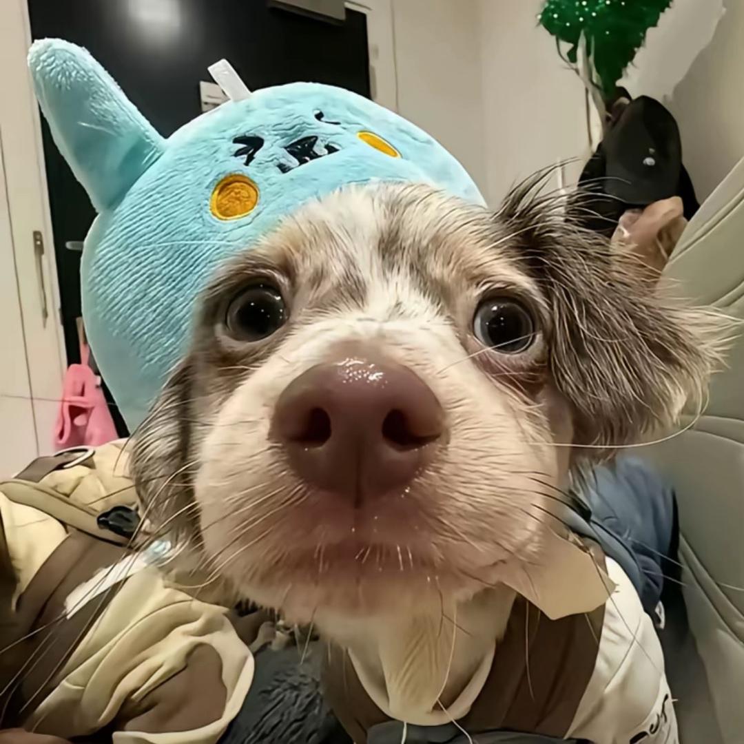 我  不  饿