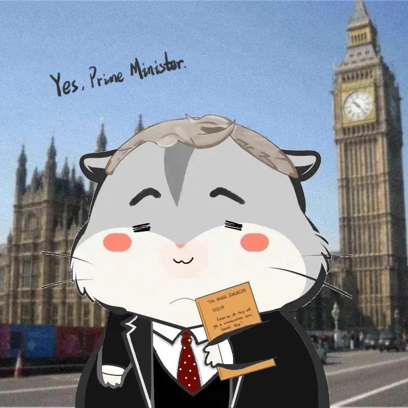 骑着小猪跑