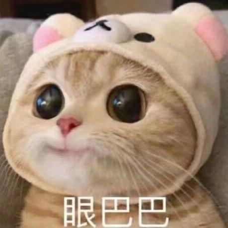 坠入情网的蓝色洗衣机
