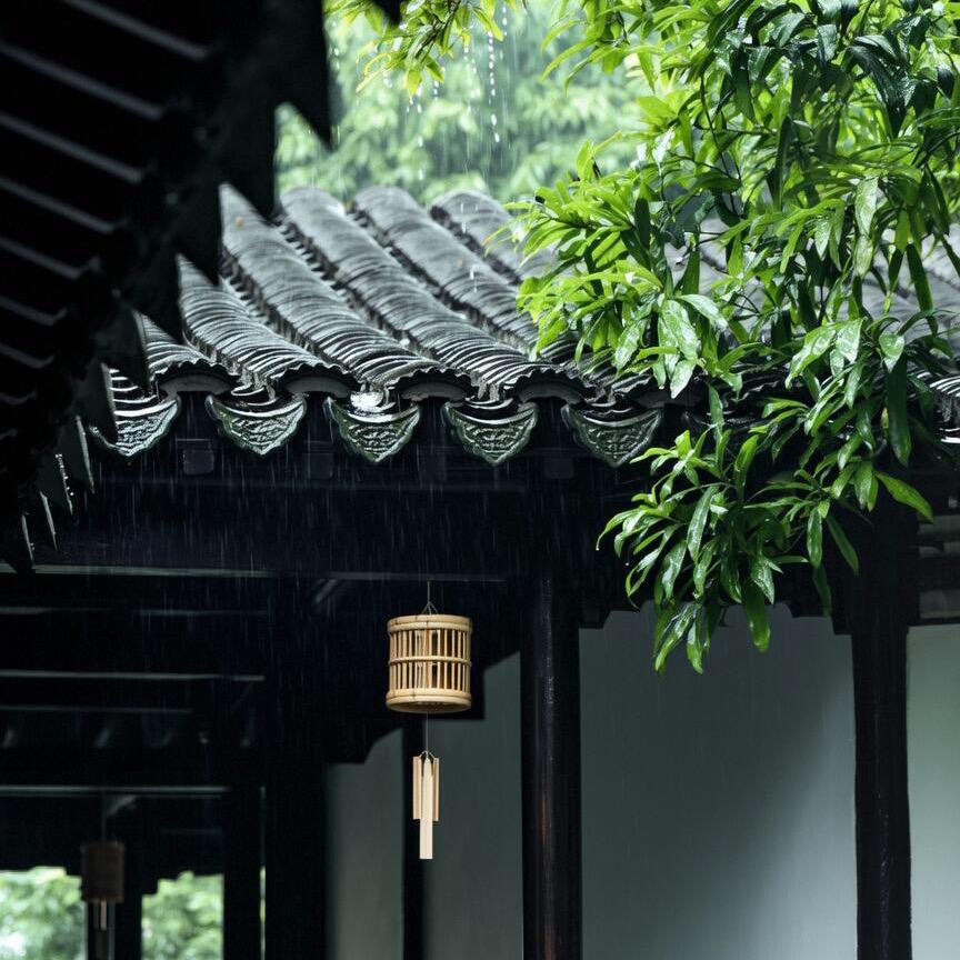 法 舟