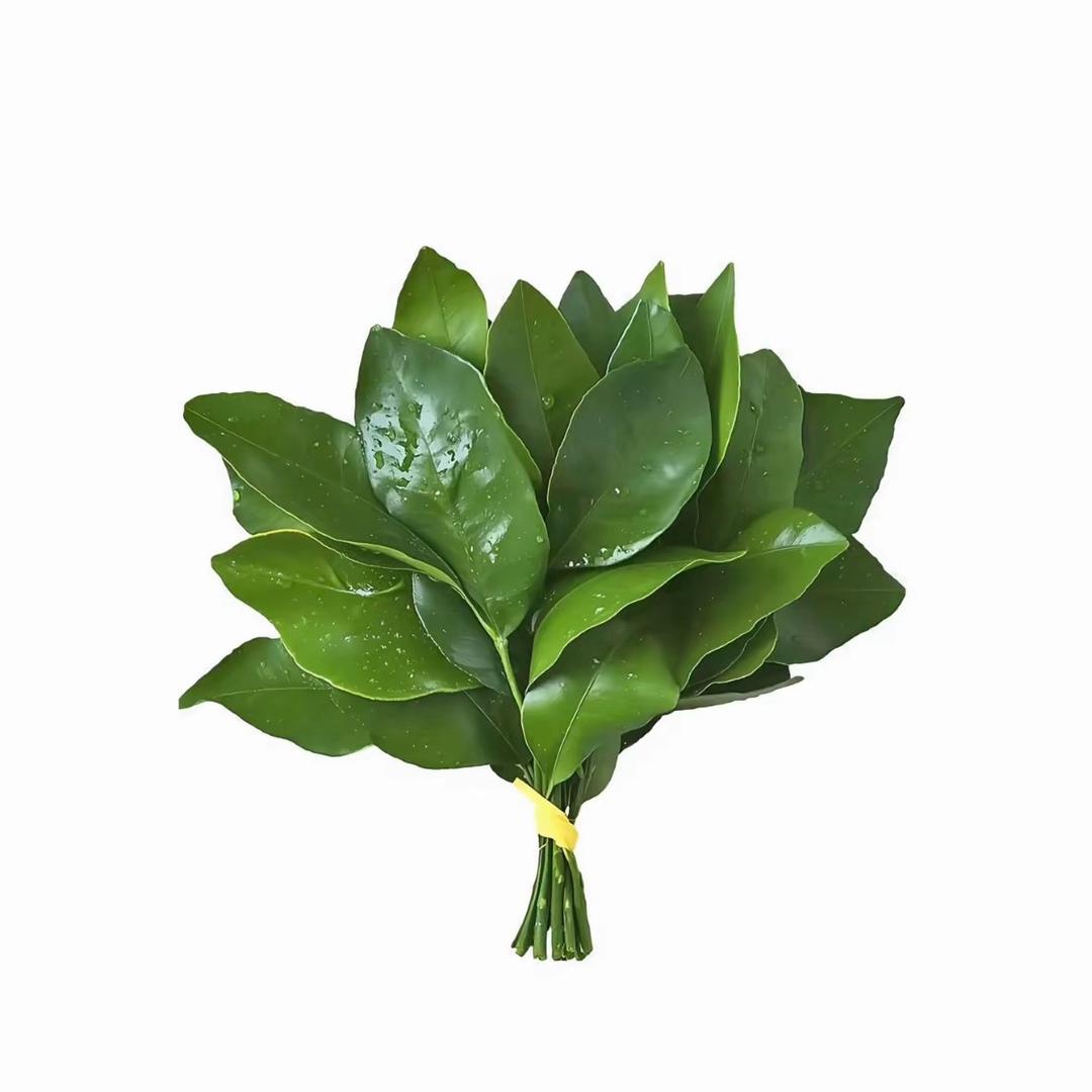 确实有廖