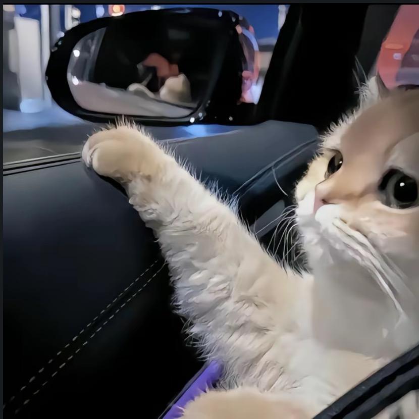 柠檬树下奇异果