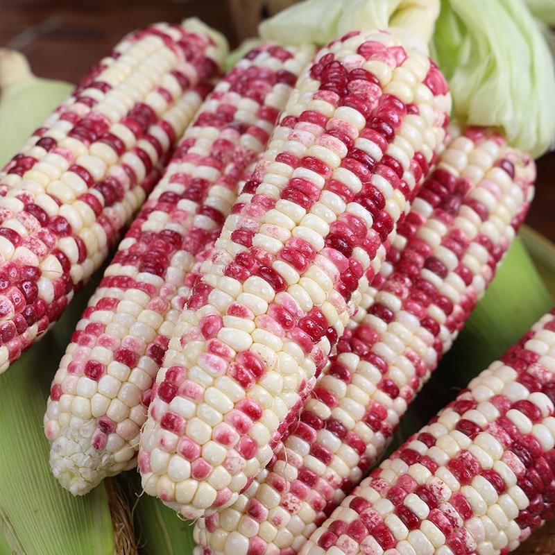 新盛鲜果同城送