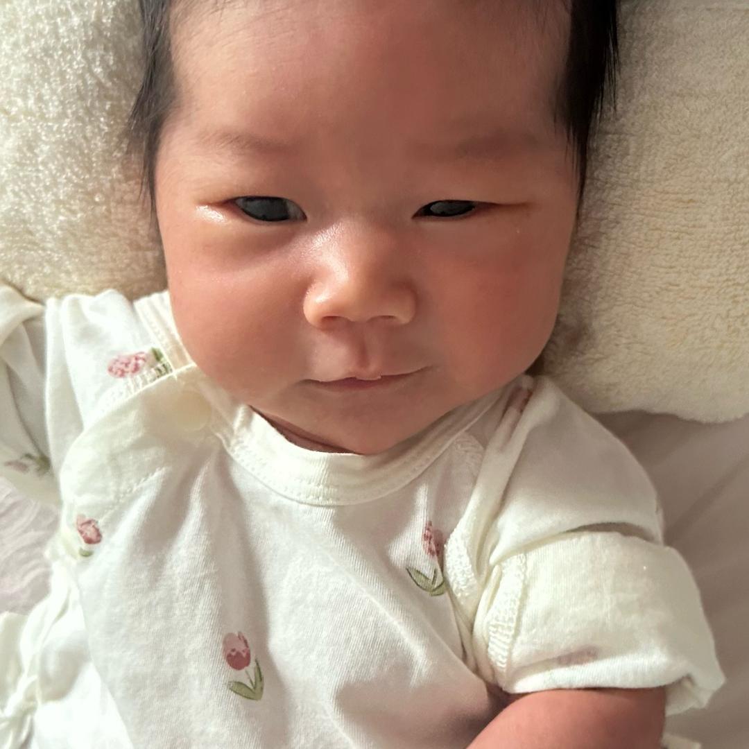 单板张张