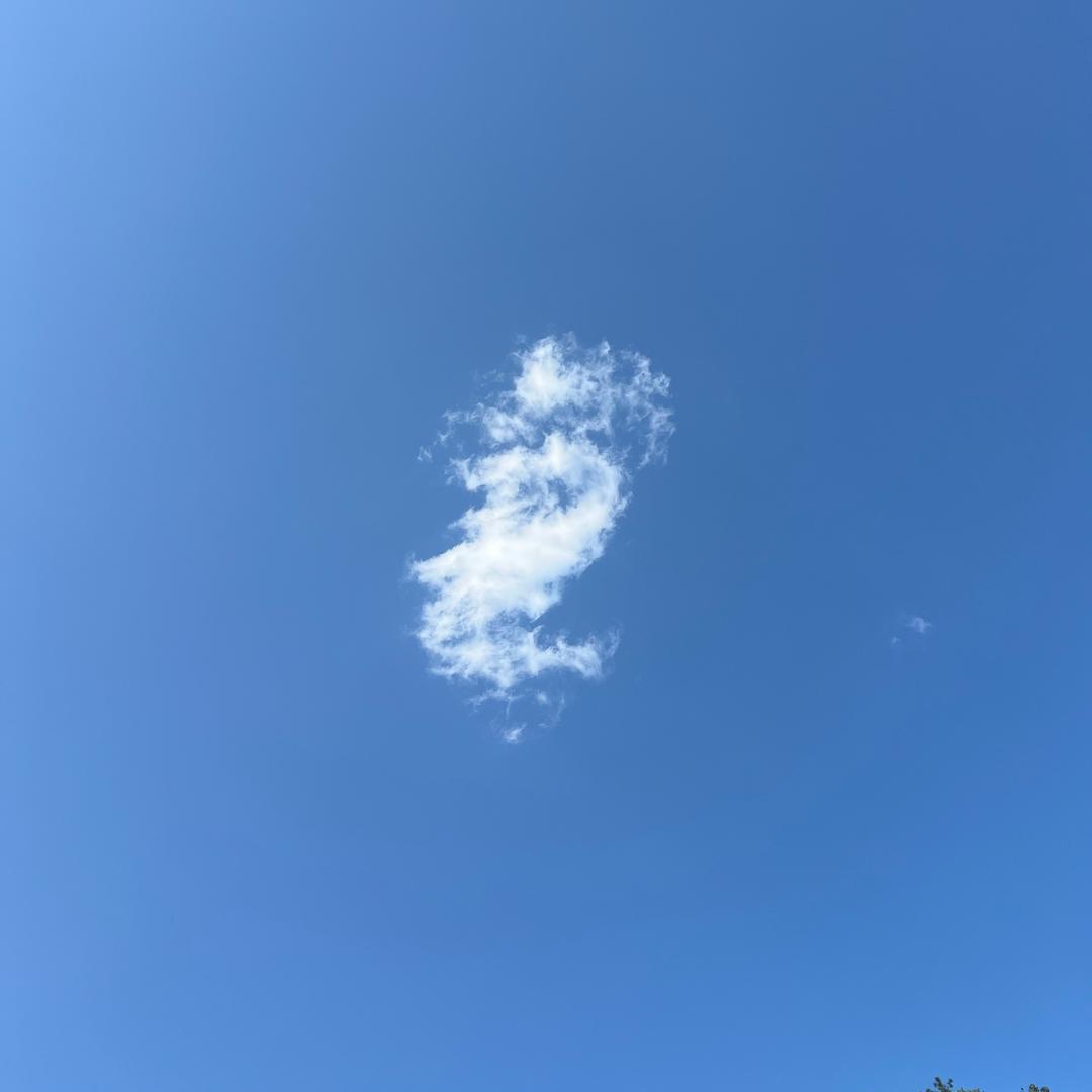 小锋子