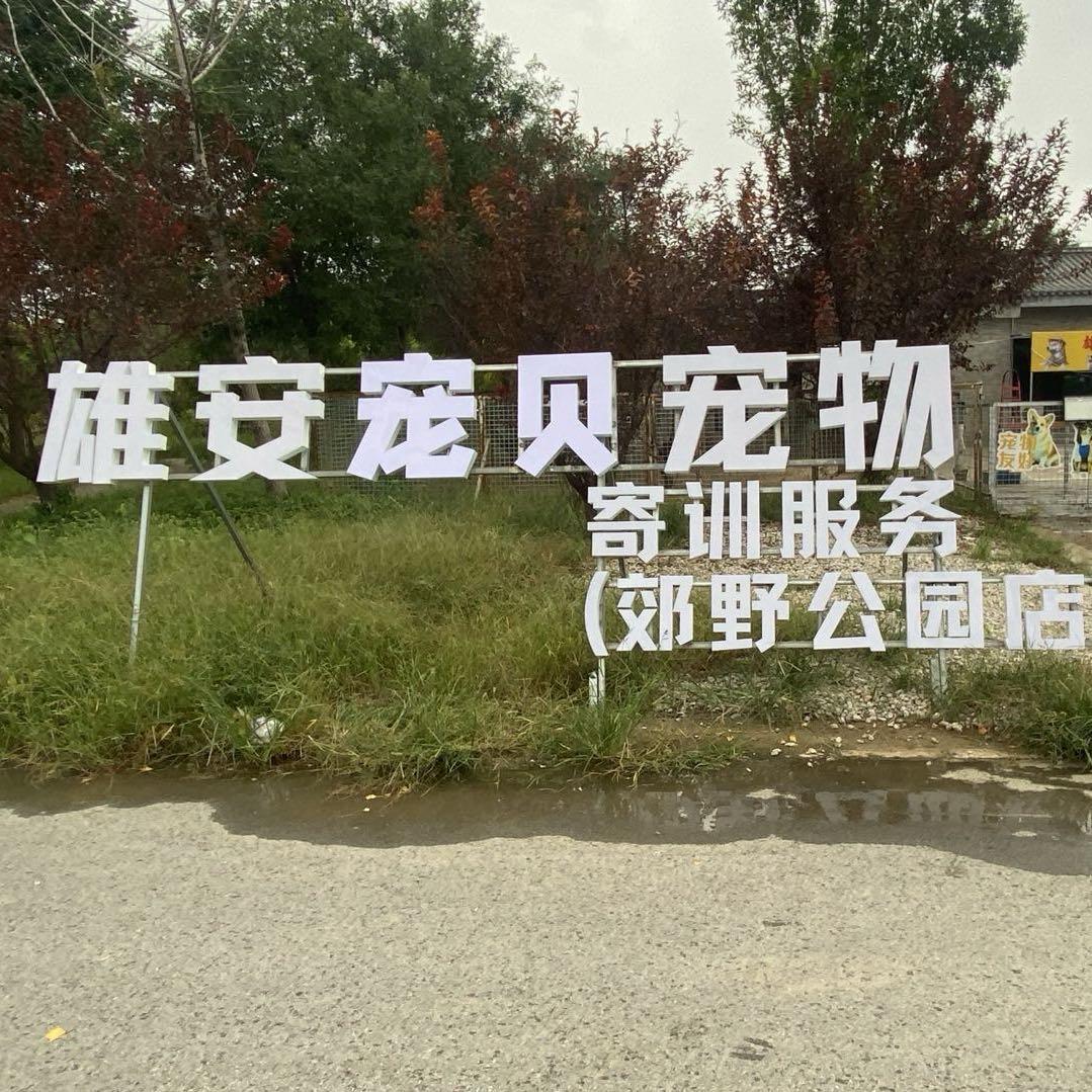 雄安宠贝宠物训练