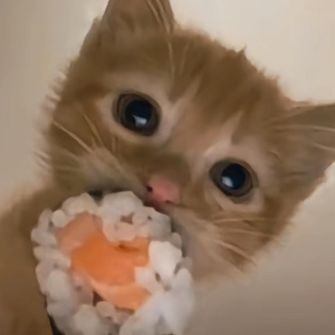 雪豹