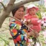 🔥子越子睛奶奶🔥