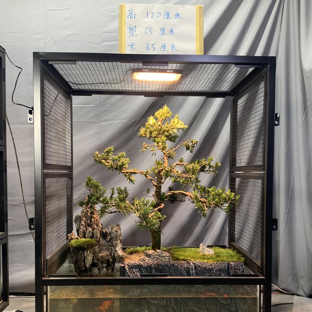 裕兴装饰生态景观鸟笼