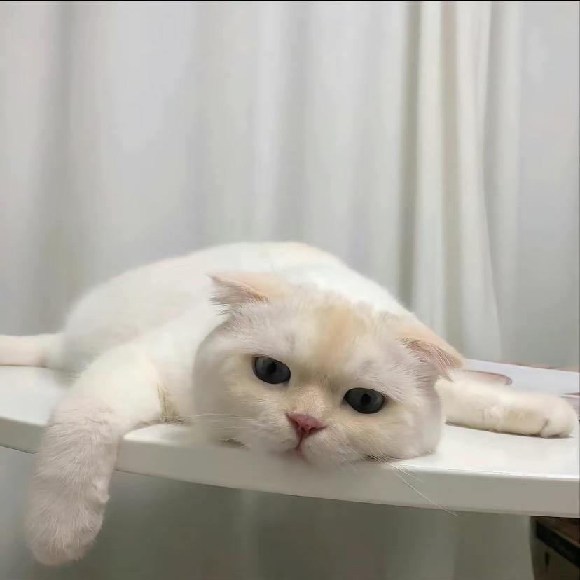 x.小徐同学