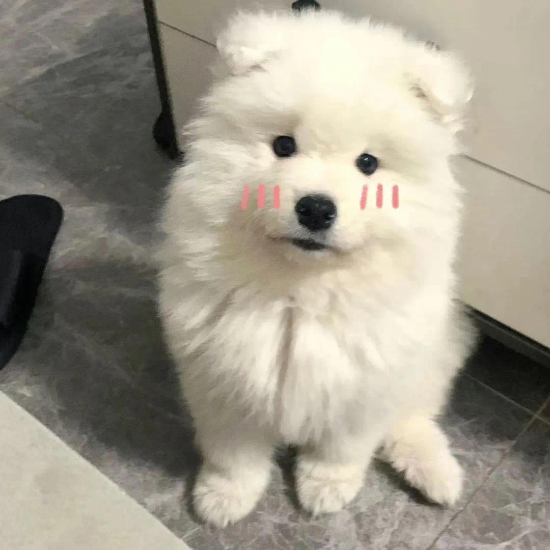 ·秋季永恒·