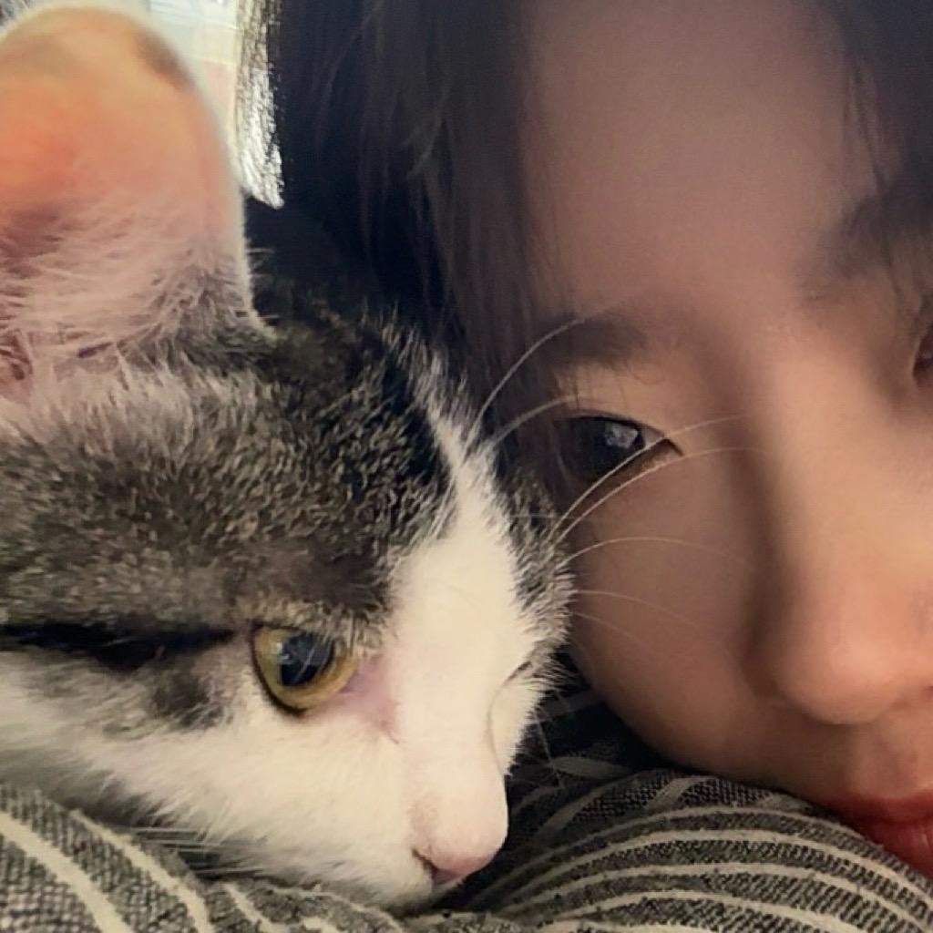 麻辣冷兔头·🧙🏻‍♀️