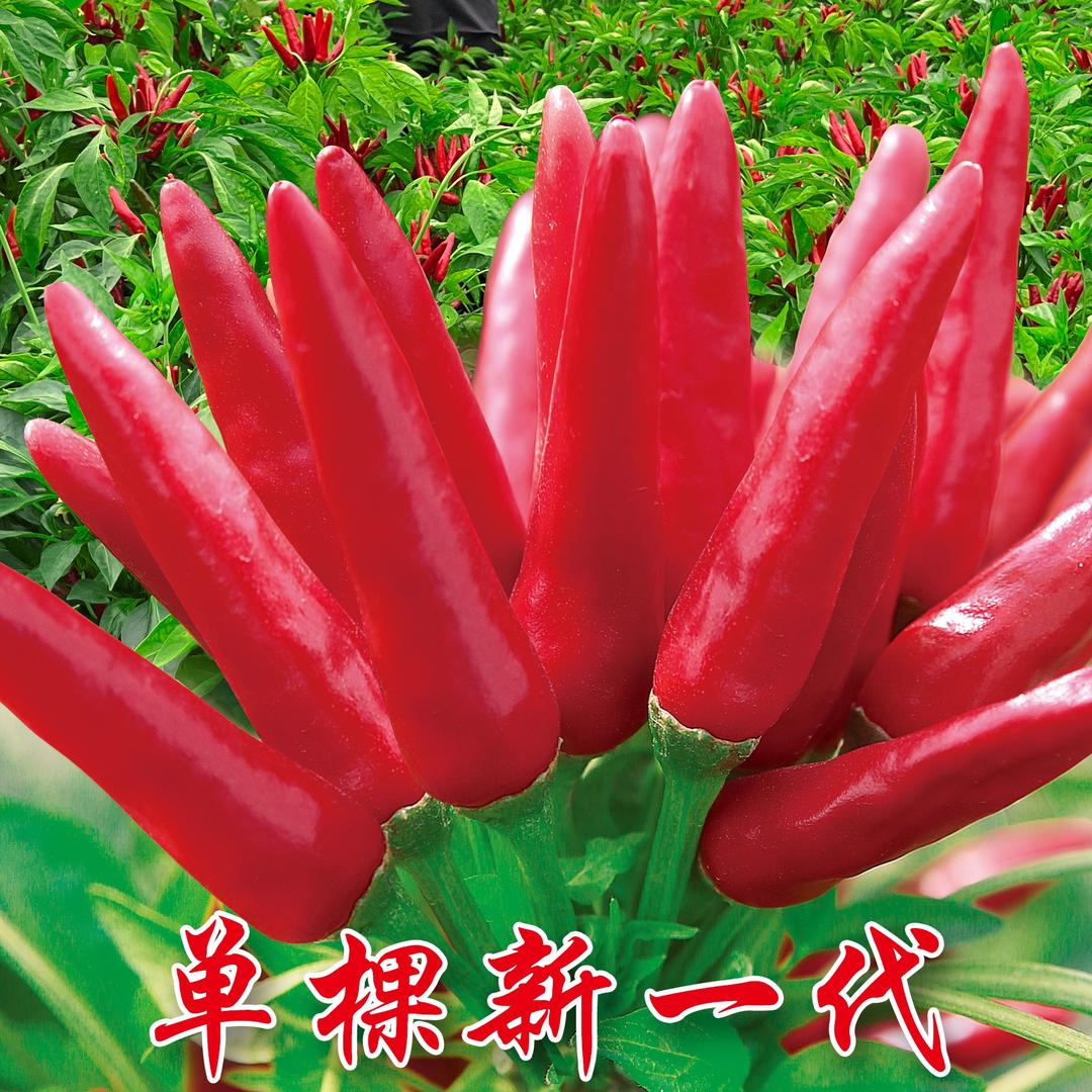 沐生农业