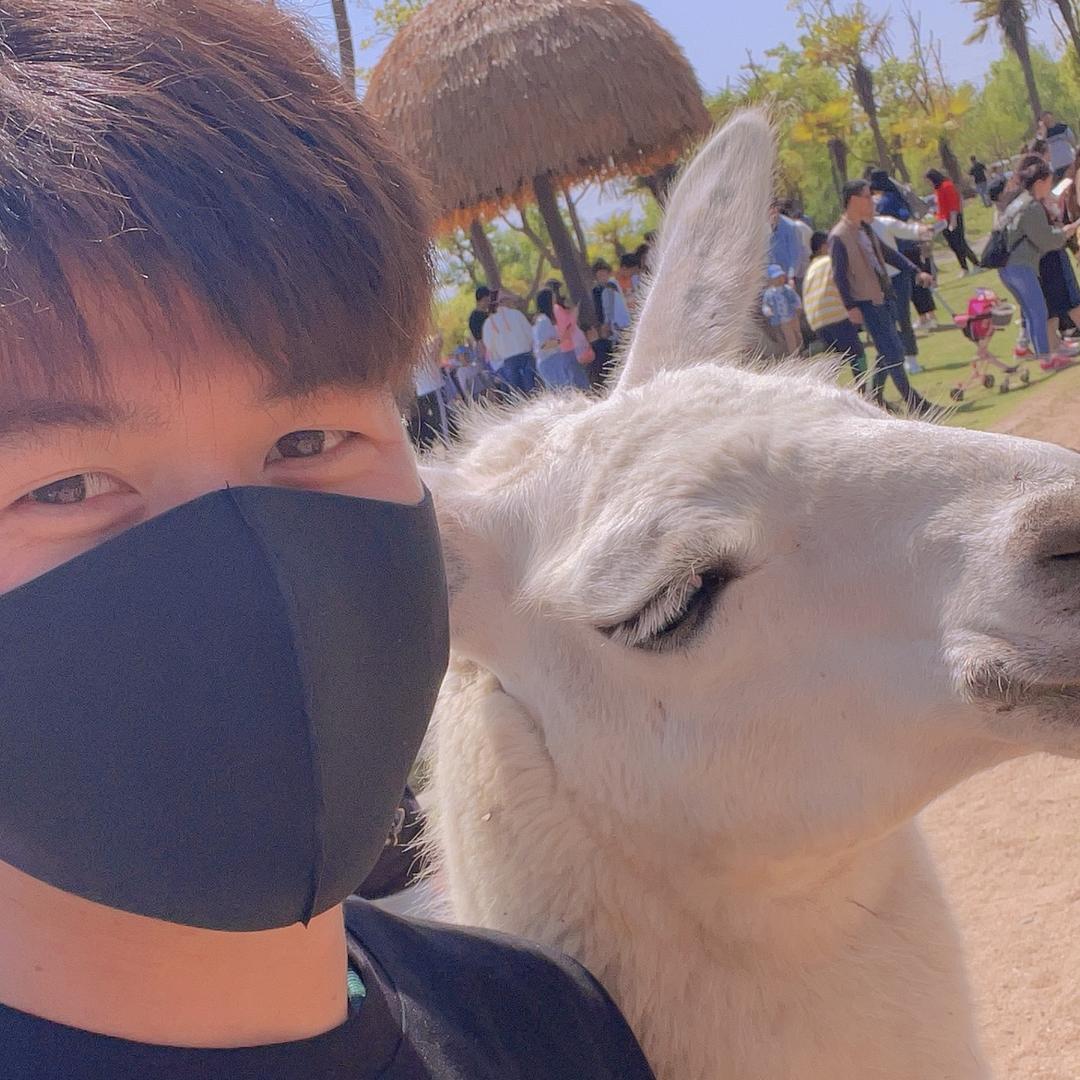 花园角烤牛肉串