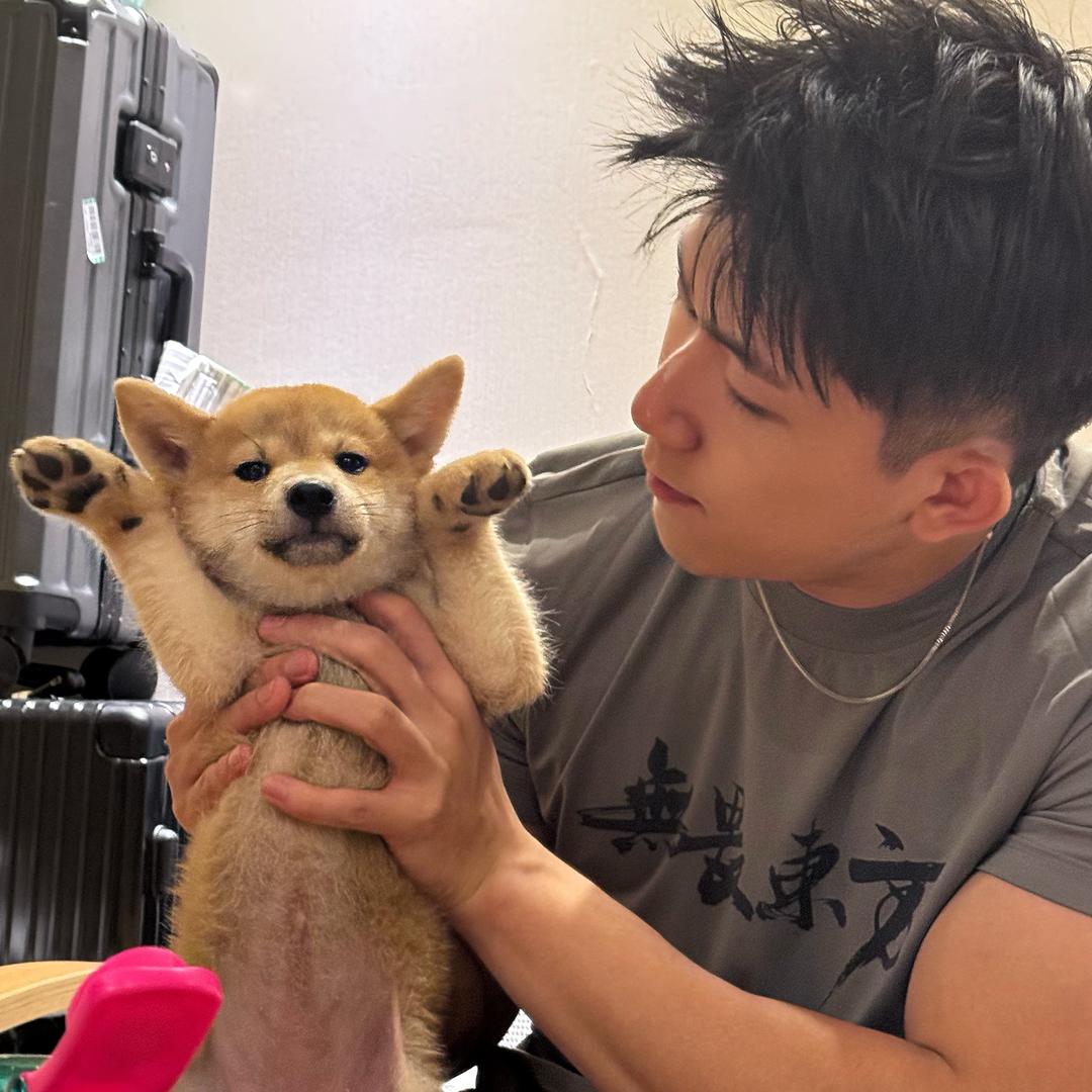 豆包和她的daddy