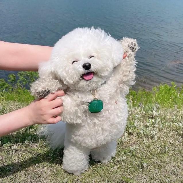🌈小星玥🐯🍀🌸