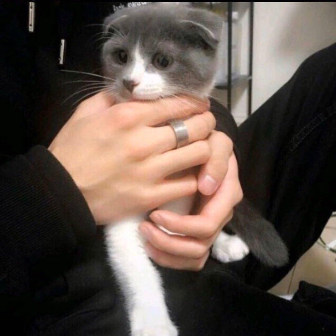 一凡