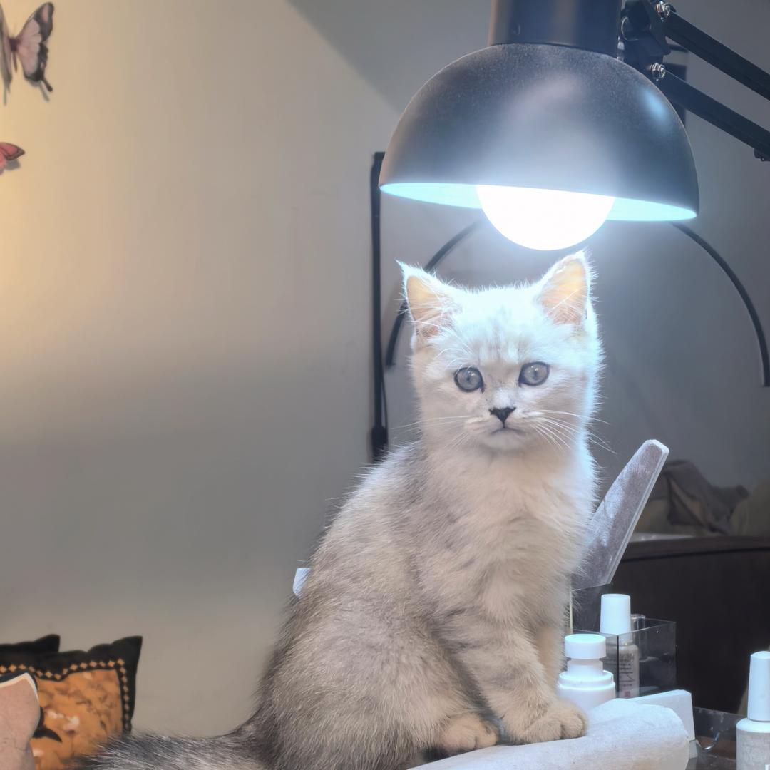 小玉🫧（鲜榨果汁🍊）