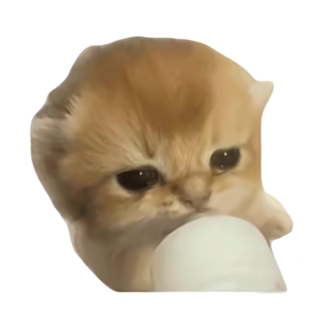 磬是小鹤