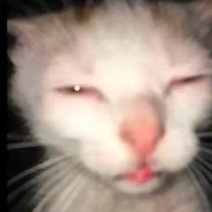 十项全不能冠军🥥