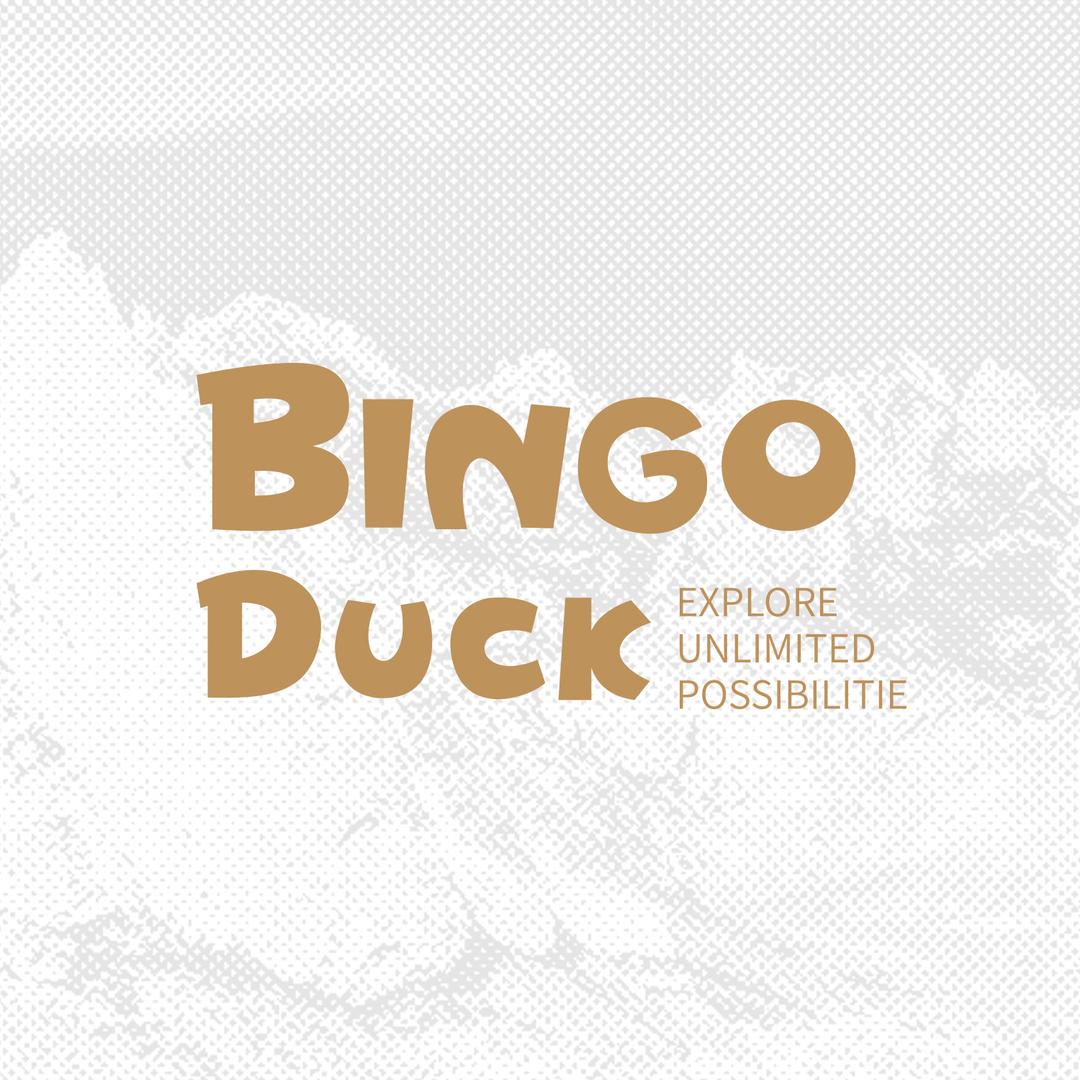 BINGO DUCK宾果鸭宁波宾果鸭电子商务有限公司童鞋专卖店