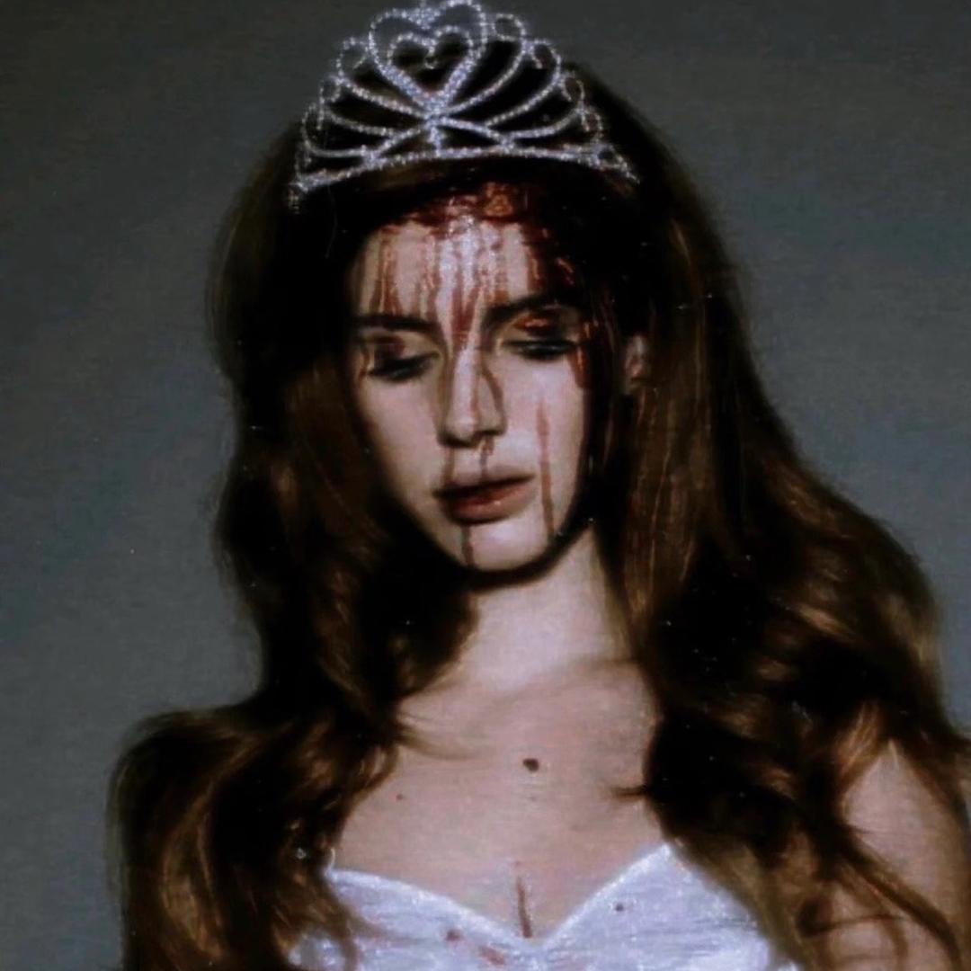 𝜗𝜚˚⋆洄 ✞.˚₊