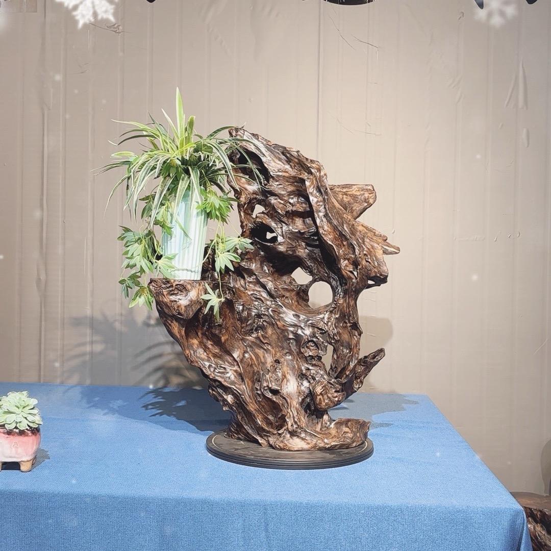 小松朽木雅集