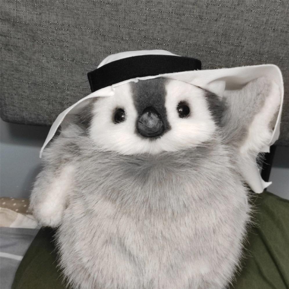 我到可可西里看海